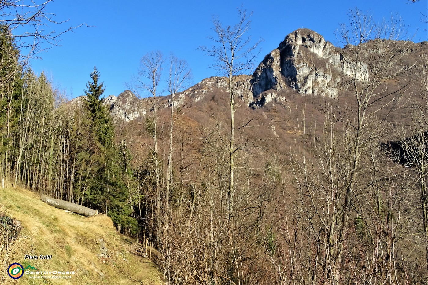 13 Il sentiero inizia con tratto pianeggiante nel prato e nel bosco.JPG